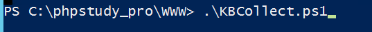 ./Web环境/执行powershell.png